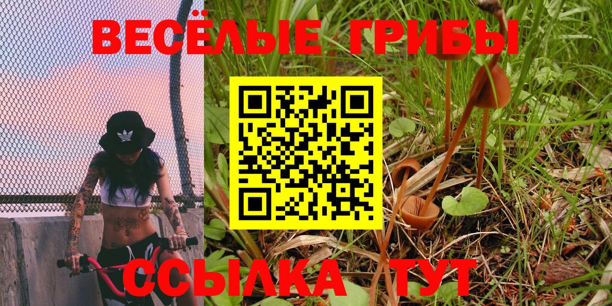 цена   Вход с VPN  Абакан  Псилоцибиновые грибы Magic Shrooms 