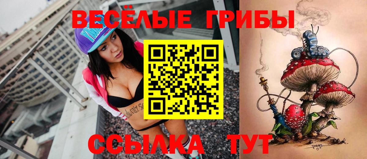 Галлюциногенные грибы мухоморы Абакан