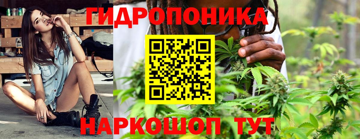 Конопля план Абакан